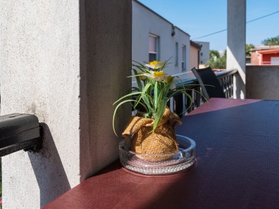 Apartment Two bedroom apartment with terrace Nin, Zadar A-23493-a - Outdoor photo 18