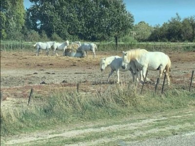 Apartment Apartment in Modane with Mountain Views - Environment photo 14