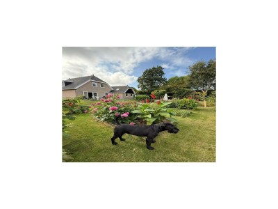 Villa Groet Villa Stay with Garden Views - Outdoor photo 7