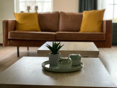 Holiday park Detached bungalow Wellness 16 - Features photo 3