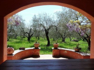 Holiday apartment Oliveto - Outdoor photo 4