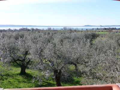 Holiday apartment Oliveto - Features photo 19