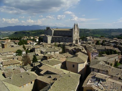 Holiday apartment Oliveto - Environment photo 26