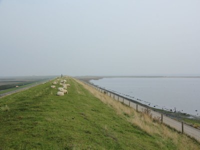 Holiday house Bungalow in Texel near National Park - Environment photo 35