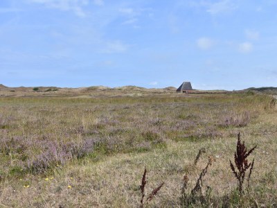 Holiday house Bungalow in Texel near National Park - Environment photo 36