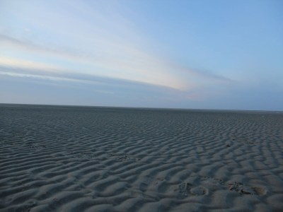 Holiday house Bungalow auf Texel nahe Dünen-Nationalpark - Environment photo 36