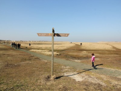 Holiday house Zuhause für Familie & Haustiere - Environment photo 37