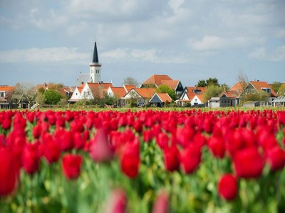 Holiday house Ferienhaus auf Texel nahe Sandstränden - Environment photo 33