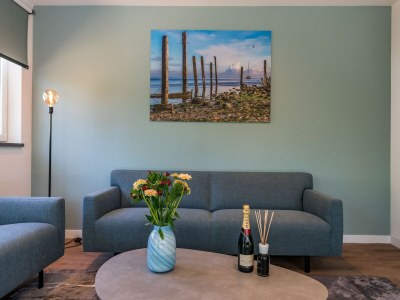 Villa Villa in Texel near Beach and Nature Reserve - Features photo 6