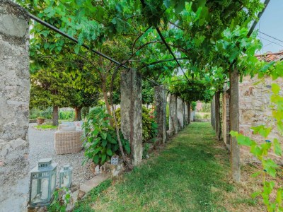 Villa Villa near Lucca with Tuscan Garden Views - Outdoor photo 53