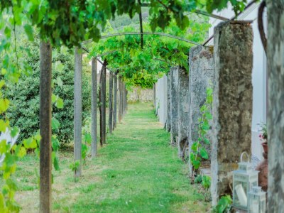 Villa Villa near Lucca with Tuscan Garden Views - Outdoor photo 56