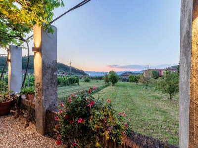 Villa Villa near Lucca with Tuscan Garden Views - Outdoor photo 106