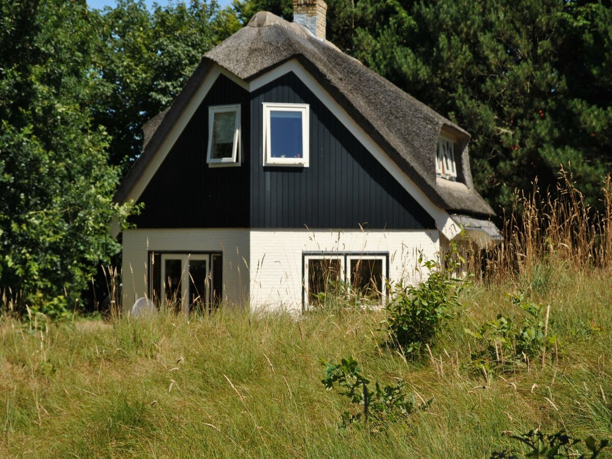 Cottage Luxury villa by the dunes