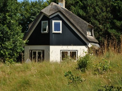 Cottage Luxury villa by the dunes in De Cocksdorp - Cottage