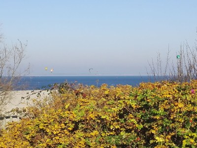 Holiday apartment Het Veerse Bree Nr 59 - Environment photo 16