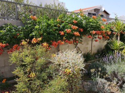 Apartment Two bedroom apartment near beach Sevid, Trogir A-4286-c - Outdoor photo 15