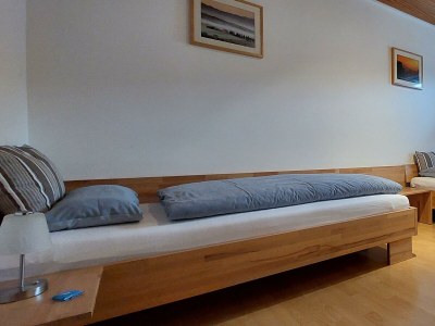 Apartment Ferienwohnung Odenwaldblick - Features photo 20