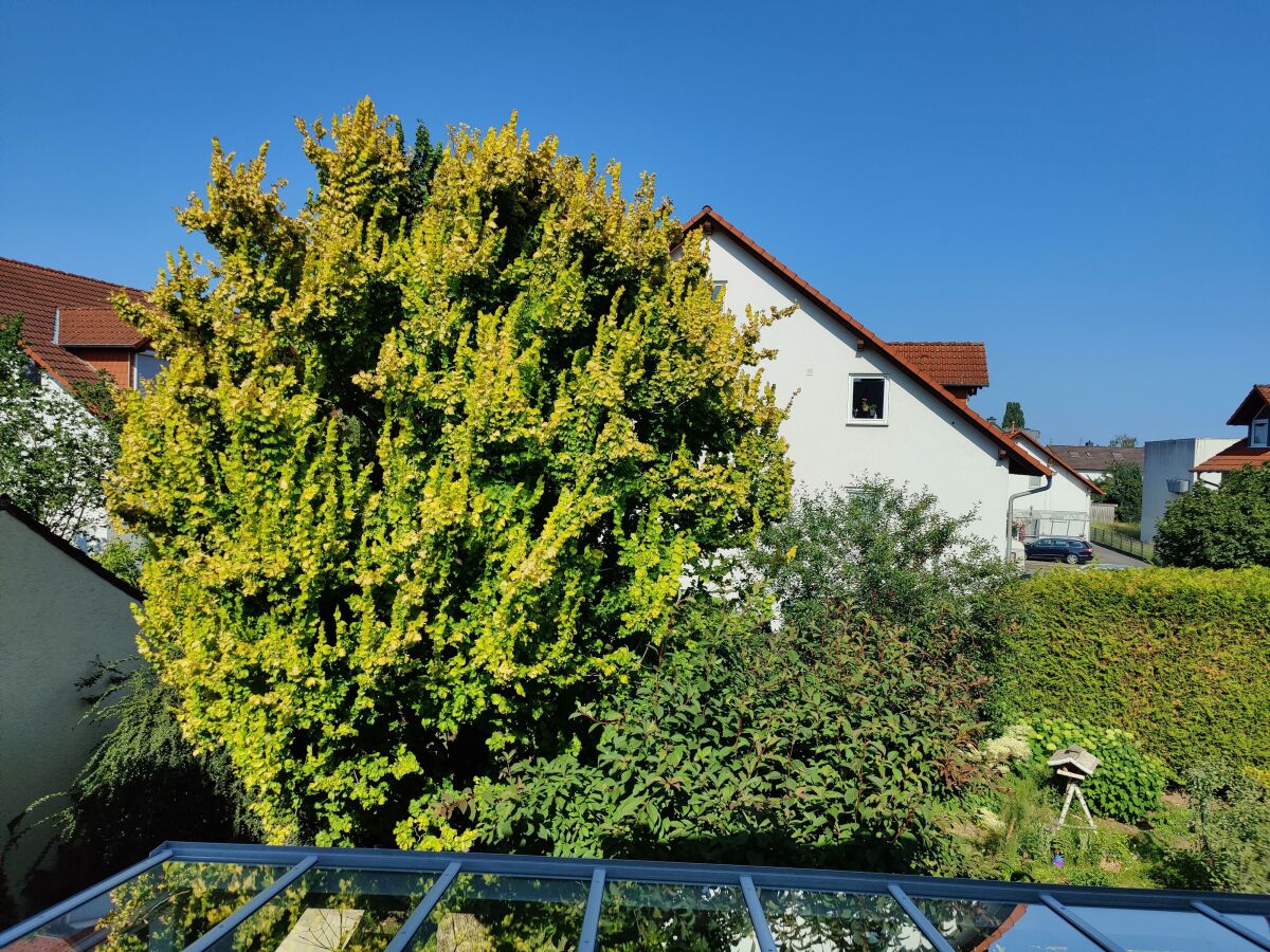 Apartment Ferienwohnung Mona Lisa - Outdoor photo 4