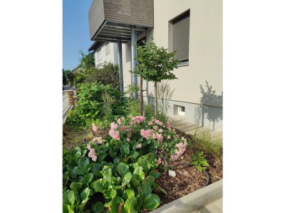 Apartment Ferienwohnung Mona Lisa - Outdoor photo 7