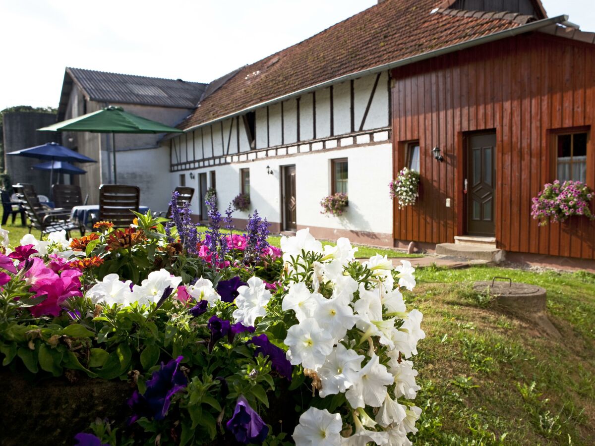 Apartment Ferienwohnung Feld-Wald-Wiese