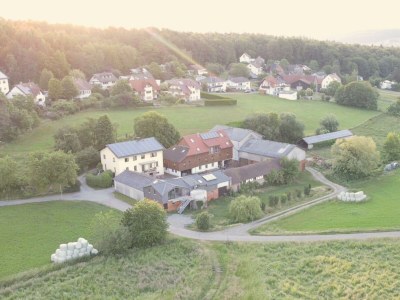 Apartment Ferienwohnung Feld-Wald-Wiese - Outdoor photo 6