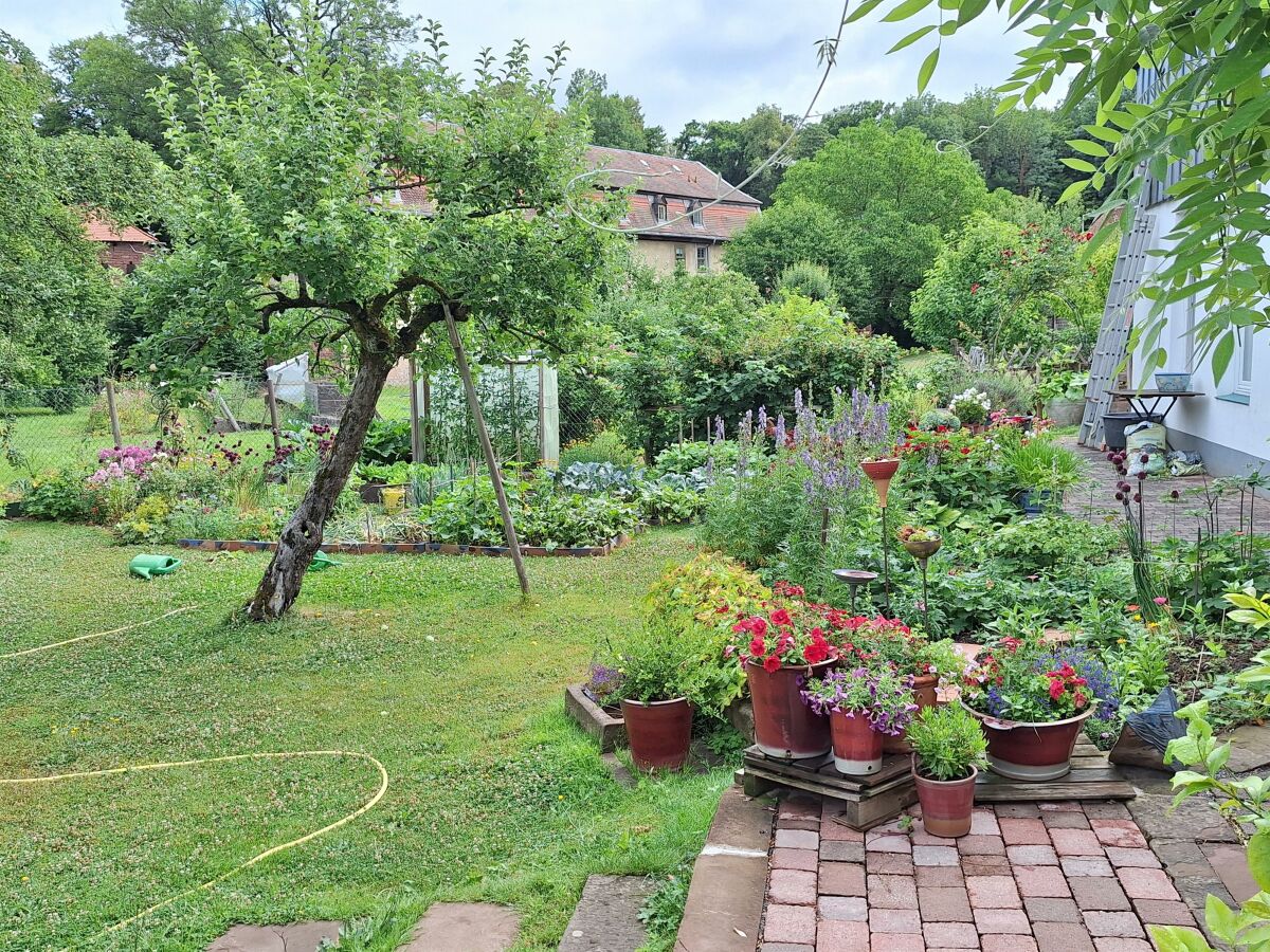 Apartment Ferienwohnung am Schloss Michelstadt - Outdoor photo 3