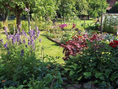 Apartment Ferienwohnung am Schloss Michelstadt - Outdoor photo 4