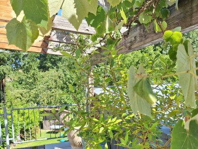 Apartment Ferienwohnung am Schloss Michelstadt - Features photo 9