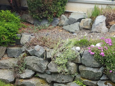 Apartment Ferienhaus Fee - Outdoor photo 3