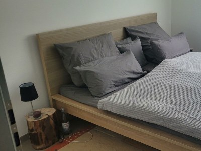 Apartment Ferienhaus Schmidt - Outdoor photo 8