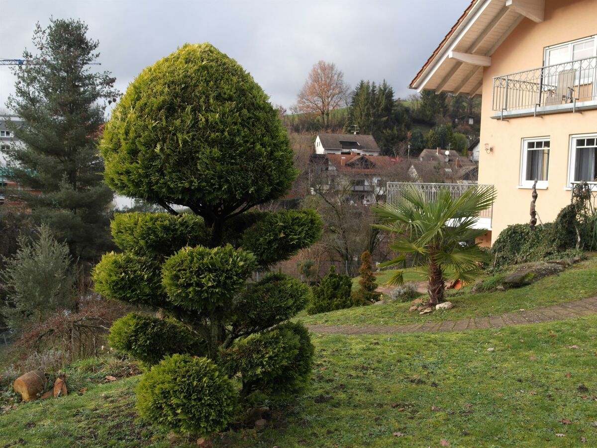 Apartment Ferienwohnung Gorxheimertal - Outdoor photo 4
