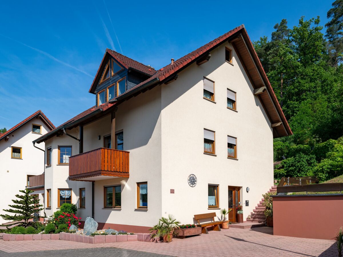 Apartment Ferienwohnung Hauk