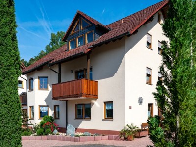 Apartment Ferienwohnung Hauk - Outdoor photo 2