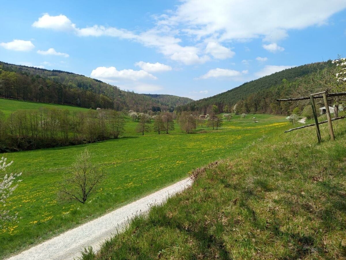 Apartment Ferienwohnung Hennrich - Outdoor photo 3