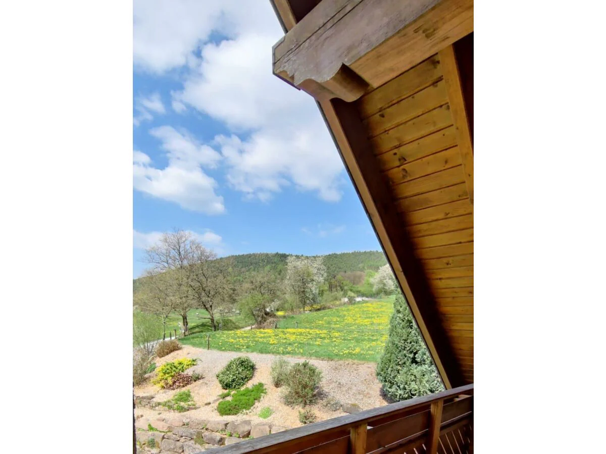 Apartment Ferienwohnung Hennrich - Outdoor photo 4