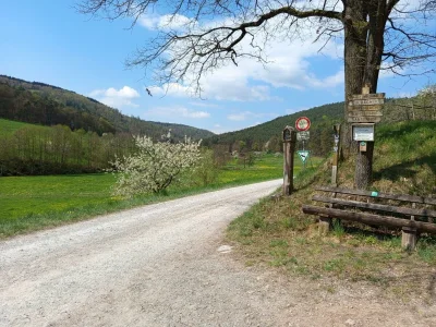 Apartment Ferienwohnung Hennrich - Outdoor photo 7