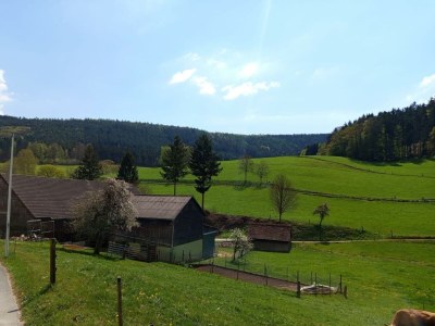 Apartment Ferienwohnung Hennrich - Outdoor photo 8