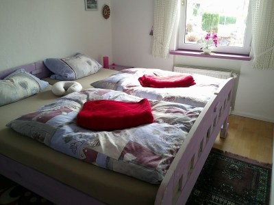 Apartment Ferienwohnung Antjes Odenwaldzauber - Features photo 13