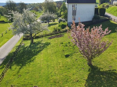 Apartment LandLeben - Outdoor photo 3