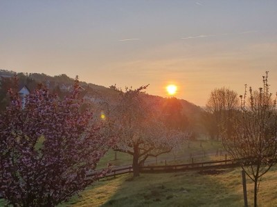 Apartment LandLeben - Outdoor photo 6
