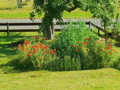 Apartment LandLeben - Outdoor photo 7