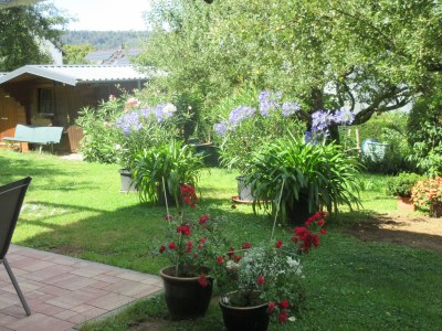 Apartment Ferienwohnung Obstgarten - Outdoor photo 6