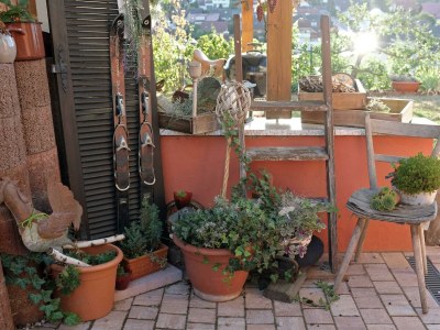 Apartment Ferienwohnung im Paradies - Outdoor photo 6