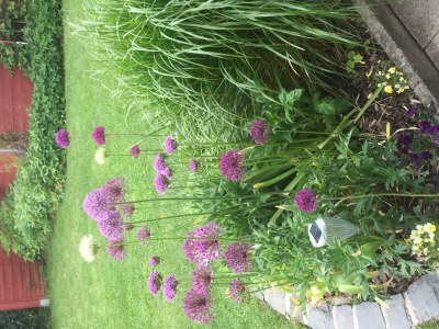 Apartment Haus Meckbach - Outdoor photo 8