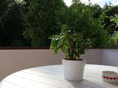 Apartment Ferienwohnung Trautes Heim - Outdoor photo 7