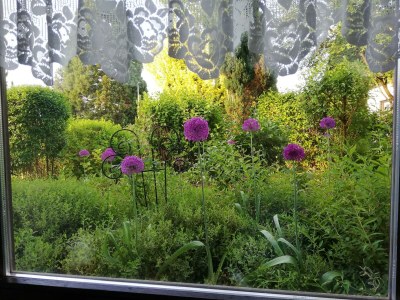 Apartment Annettes Ferienwohnung - Features photo 26