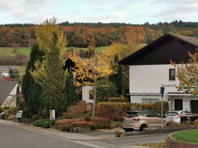 Apartment Annettes Ferienwohnung - Features photo 32