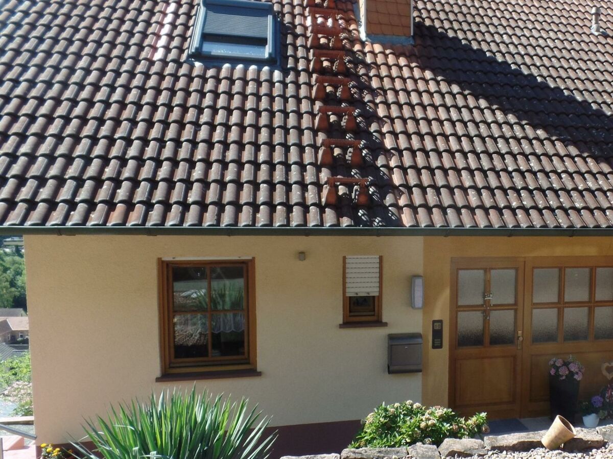 Apartment Ferienwohnung Fleckenstein - Outdoor photo 2