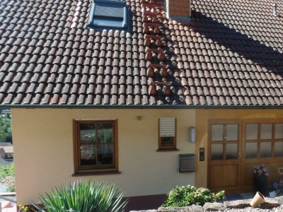 Apartment Ferienwohnung Fleckenstein - Outdoor photo 2