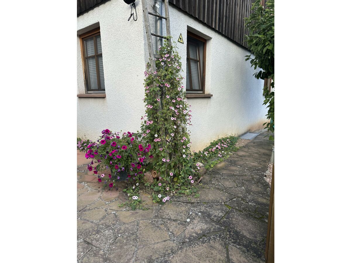 Apartment Apartment Albert - Outdoor photo 4